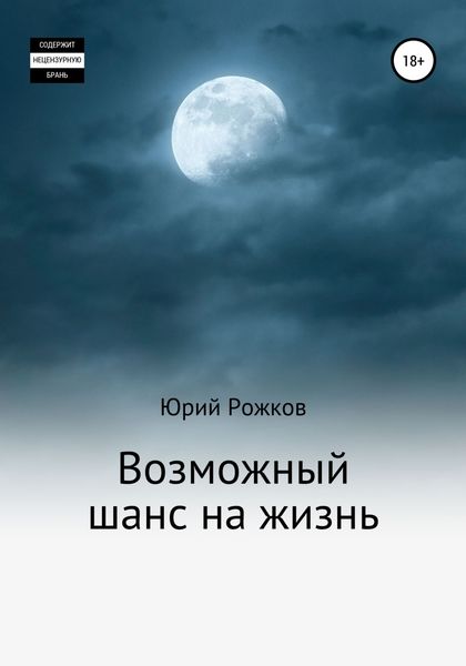 Обложка книги «Возможный шанс на жизнь»