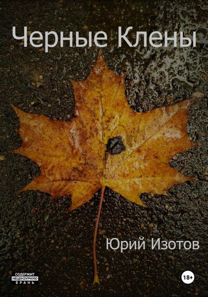 Обложка книги «Черные Клены»