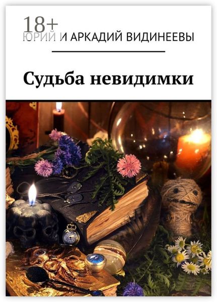 Обложка книги «Судьба невидимки»