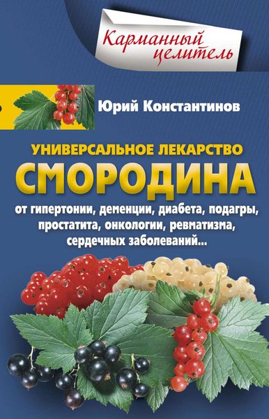 Обложка книги «Универсальное лекарство смородина. От гипертонии, деменции, диабета, подагры, простатита, онкологии, ревматизма, сердечных заболеваний…»