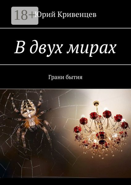 Обложка книги  «В двух мирах. Грани бытия»