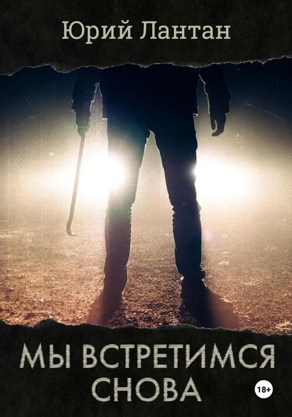 Обложка книги «Мы встретимся снова»