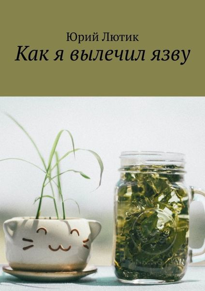 Обложка книги «Как я вылечил язву»