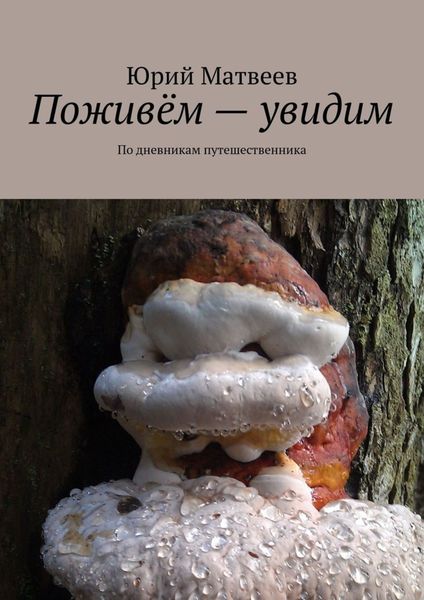Обложка книги  «Поживём – увидим. По дневникам путешественника»