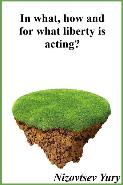 Обложка книги  «In what, how and for what liberty is acting?»