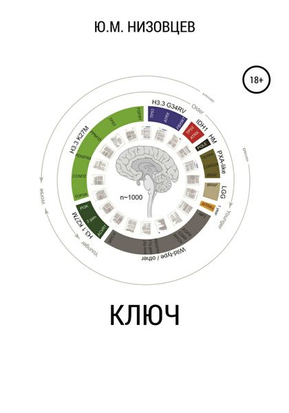 Обложка книги «Ключ»
