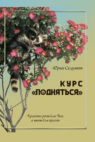 Обложка книги «Курс «Подняться»»
