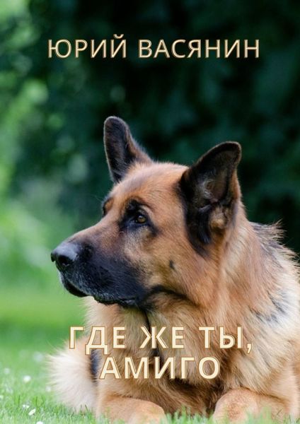 Обложка книги  «Где же ты, Амиго?»