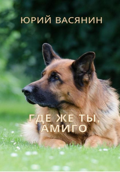 Обложка книги  «Где же ты, Амиго»