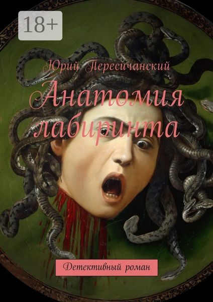 Обложка книги «Анатомия лабиринта. Детективный роман»