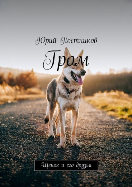 Обложка книги  «Гром. Щенок и его друзья»