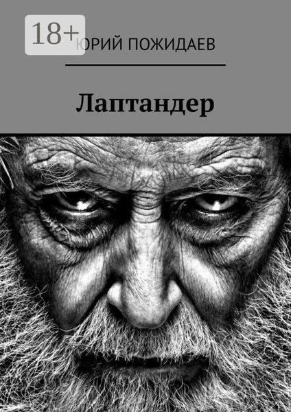Обложка книги «Лаптандер»