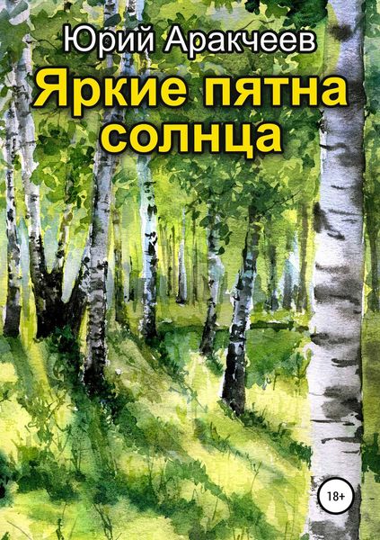 Обложка книги  «Яркие пятна солнца»
