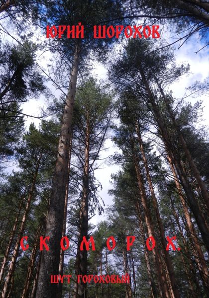 Обложка книги «Скоморох. Шут гороховый»