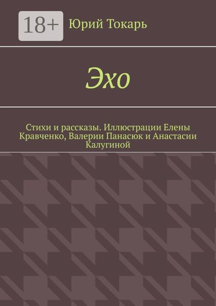 Обложка книги  «Эхо. Стихи и рассказы. Иллюстрации Елены Кравченко, Валерии Панасюк и Анастасии Калугиной»