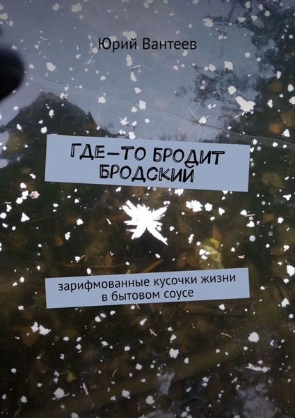 Обложка книги  «Где-то бродит Бродский. Зарифмованные кусочки жизни в бытовом соусе»