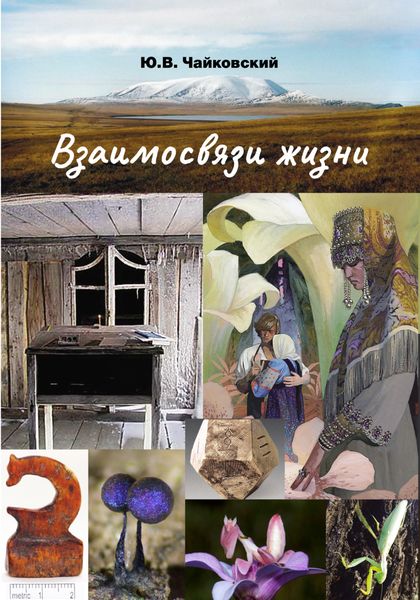 Обложка книги  «Взаимосвязи жизни. Мини-энциклопедия дополняет. Том 2. Р – Я и добавочные сведения»