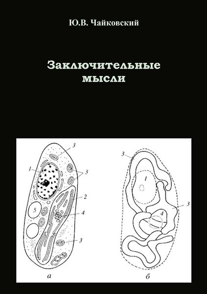 Обложка книги  «Заключительные мысли»