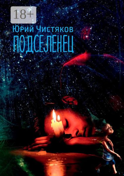 Обложка книги  «Подселенец»