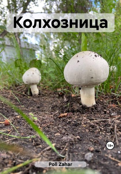 Обложка книги  «Колхозница»