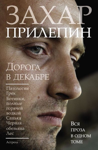 Обложка книги  «Дорога в декабре»