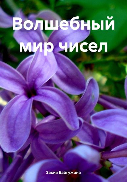 Обложка книги «Волшебный мир чисел»