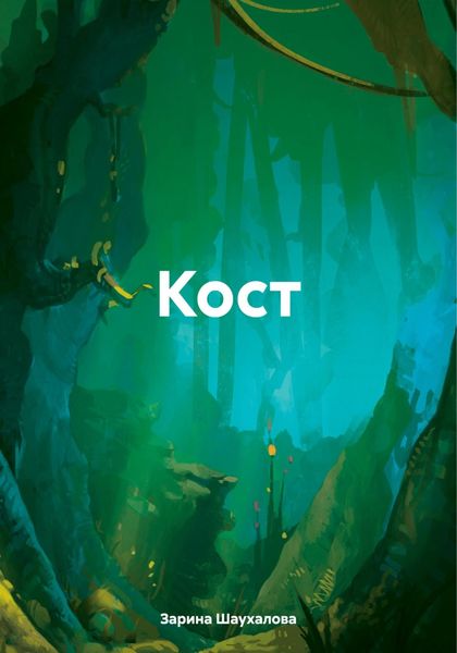 Обложка книги  «Кост»