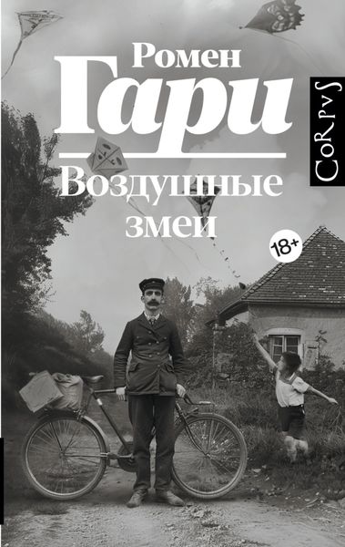 Обложка книги  «Воздушные змеи»