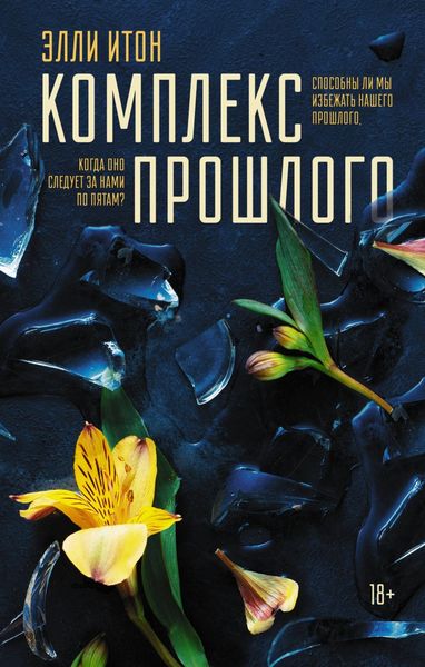 Обложка книги  «Комплекс прошлого»