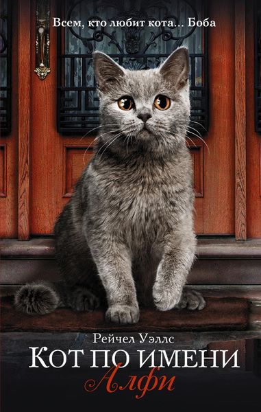 Обложка книги  «Кот по имени Алфи»