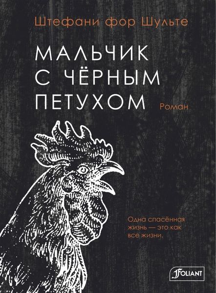 Обложка книги  «Мальчик с чёрным петухом»