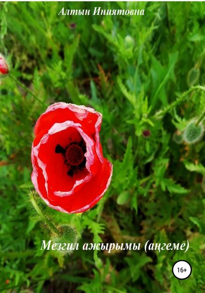 Обложка книги  «Мезгил ажырымы»