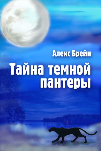 Обложка книги  «Тайна темной пантеры»