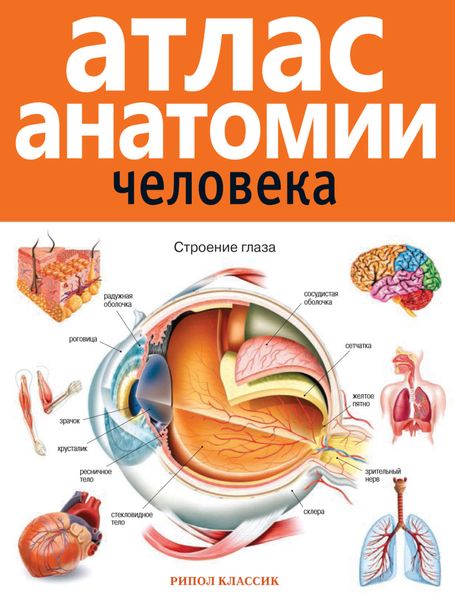 Обложка книги  «Атлас анатомии человека»