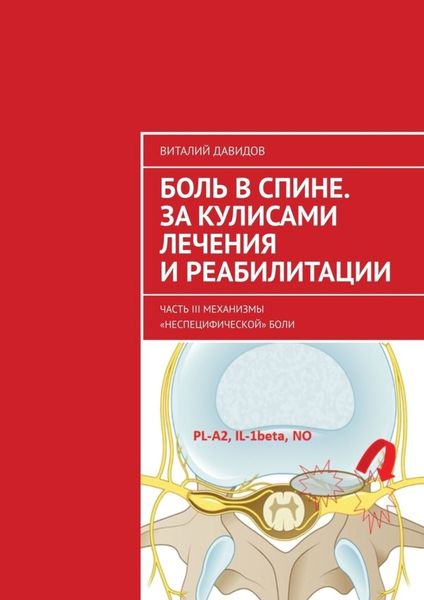 Обложка книги  «Боль в спине. За кулисами лечения и реабилитации. Часть III. Механизмы «неспецифической» боли»