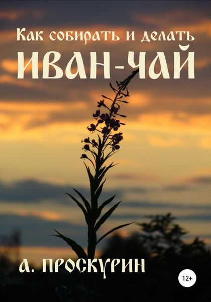 Обложка книги  «Как собирать и делать иван-чай»