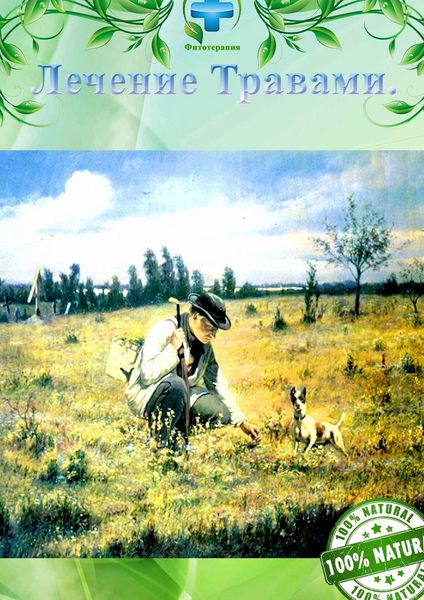 Обложка книги  «Лечение травами. Фитотерапия»