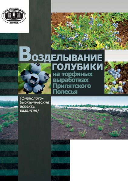 Обложка книги  «Возделывание голубики на торфяных выработках Припятского Полесья»