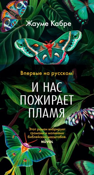 Обложка книги «И нас пожирает пламя»