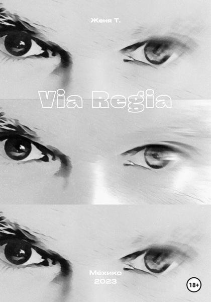 Обложка книги  «Via Regia»