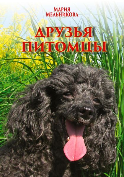 Обложка книги  «Друзья-питомцы»