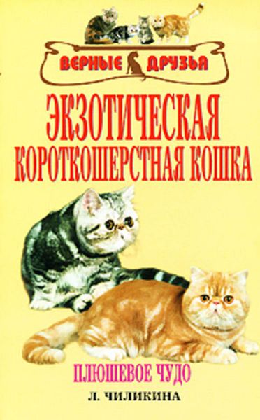 Обложка книги  «Экзотическая короткошерстная кошка»
