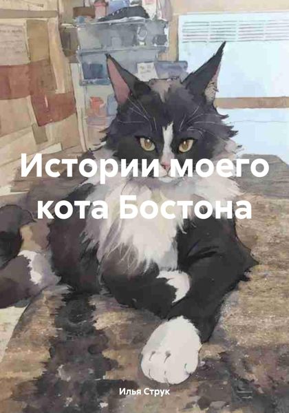 Обложка книги  «Истории моего кота Бостона»