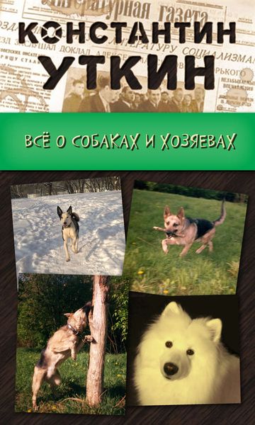 Обложка книги  «Кинология. Всё о собаках и хозяевах»