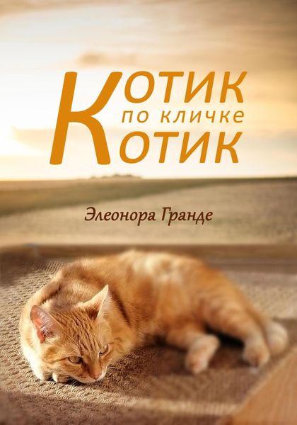 Обложка книги  «Котик по кличке Котик»