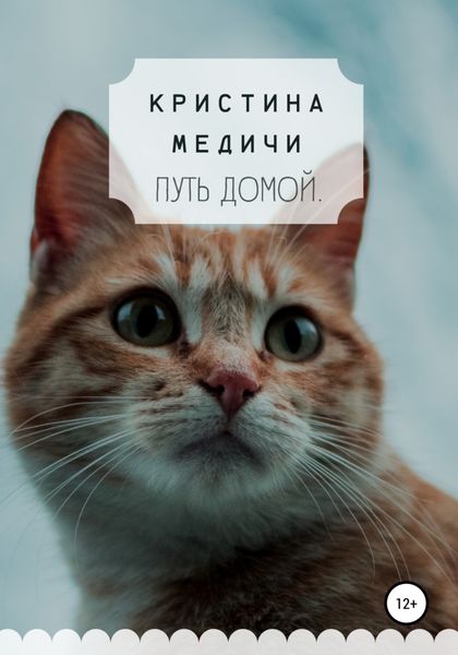 Обложка книги  «Путь домой»