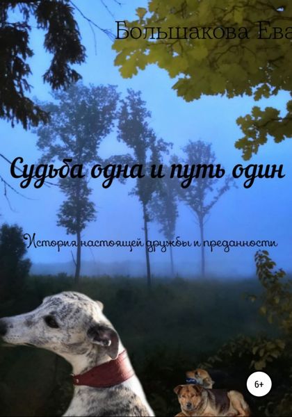 Обложка книги  «Судьба одна и путь один. История настоящей дружбы и преданности»