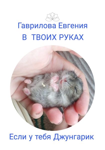 Обложка книги  «В твоих руках. Если у тебя джунгарик»