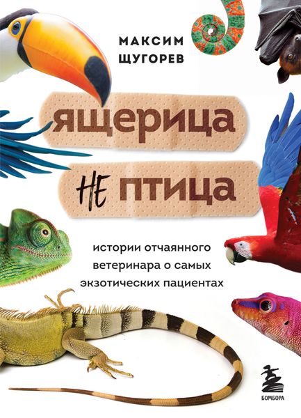 Обложка книги  «Ящерица не птица. Истории отчаянного ветеринара о самых экзотических пациентах»