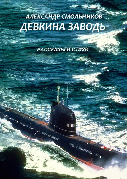 Обложка книги «Девкина заводь»